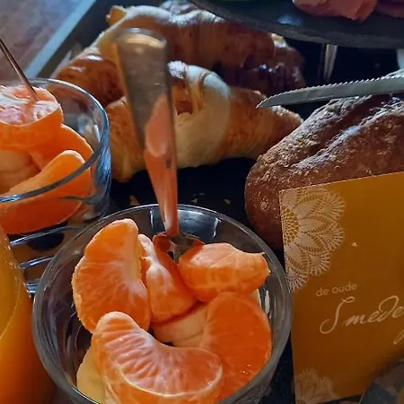 Apartamento De Oude Smederij Voor 2 Personen In 't Veld *