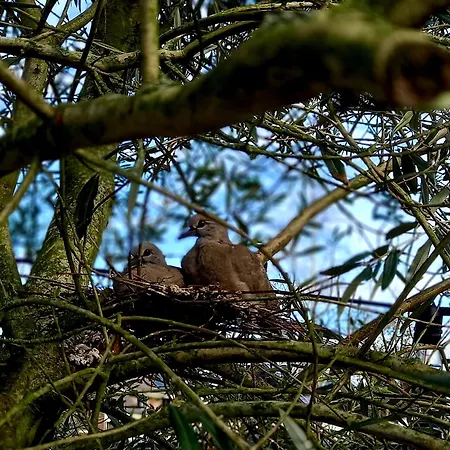 De Oude Smederij Voor 2 Personen In 't Veld Daire