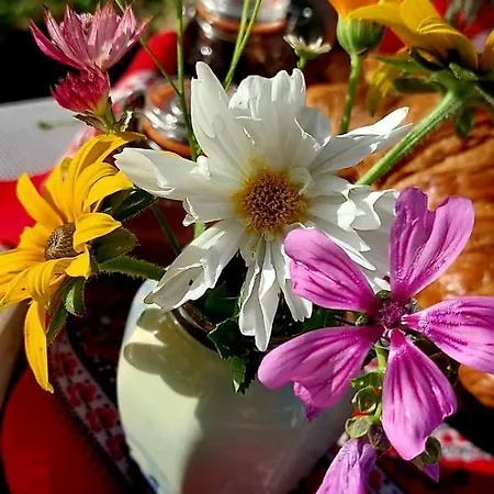 Daire De Oude Smederij Voor 2 Personen In 't Veld