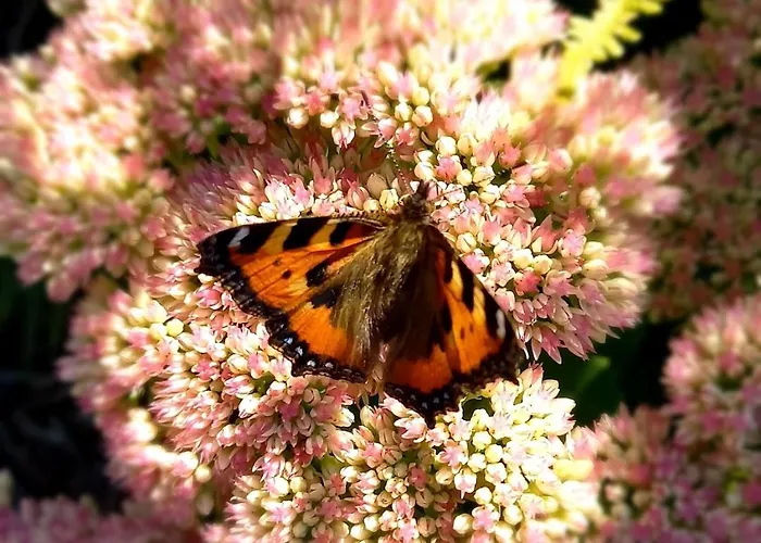 De Oude Smederij Voor 2 Personen In 't Veld De Leijen