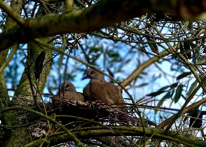 De Oude Smederij Voor 2 Personen In 't Veld Апартаменты