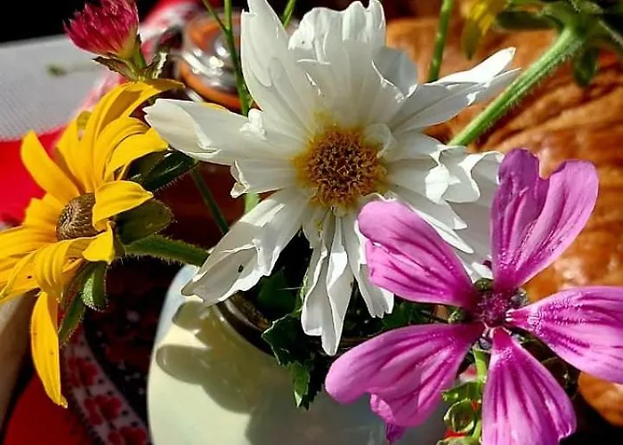 Апартаменты De Oude Smederij Voor 2 Personen In 't Veld